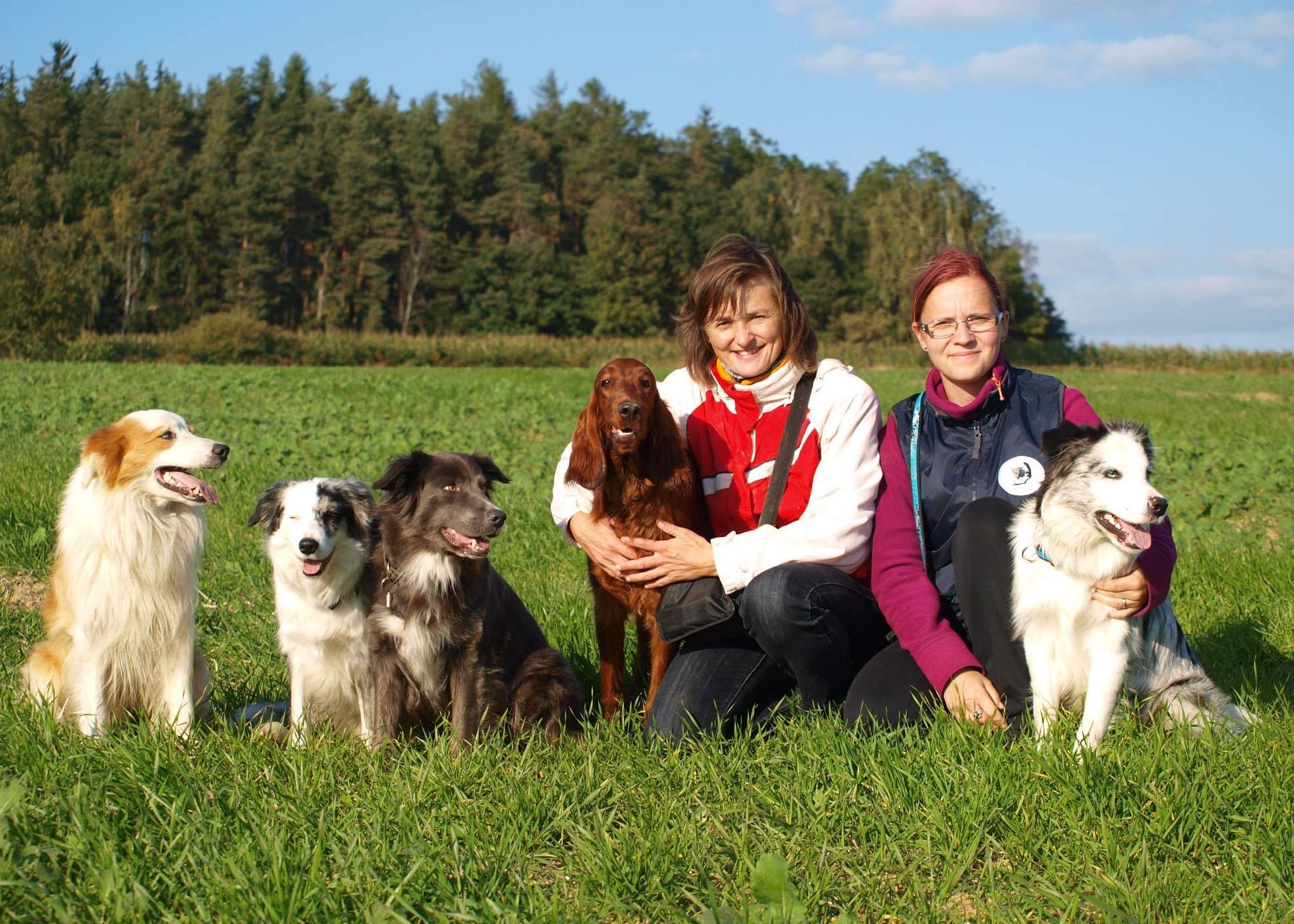 Dance,Sunny,Daisy,Bea,Smajlík 2013